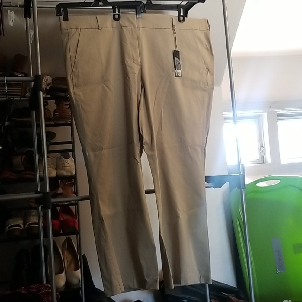 Lane Bryant the Lena pant